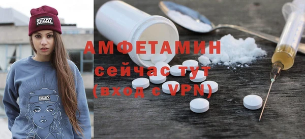 молекула духа Алексеевка
